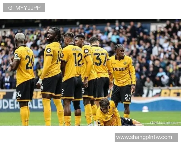 狼队新星崛起 未来足球之星带领球队冲击英超荣耀