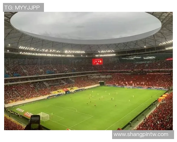 足球野球场球星崛起之路他们如何从街头走向职业赛场